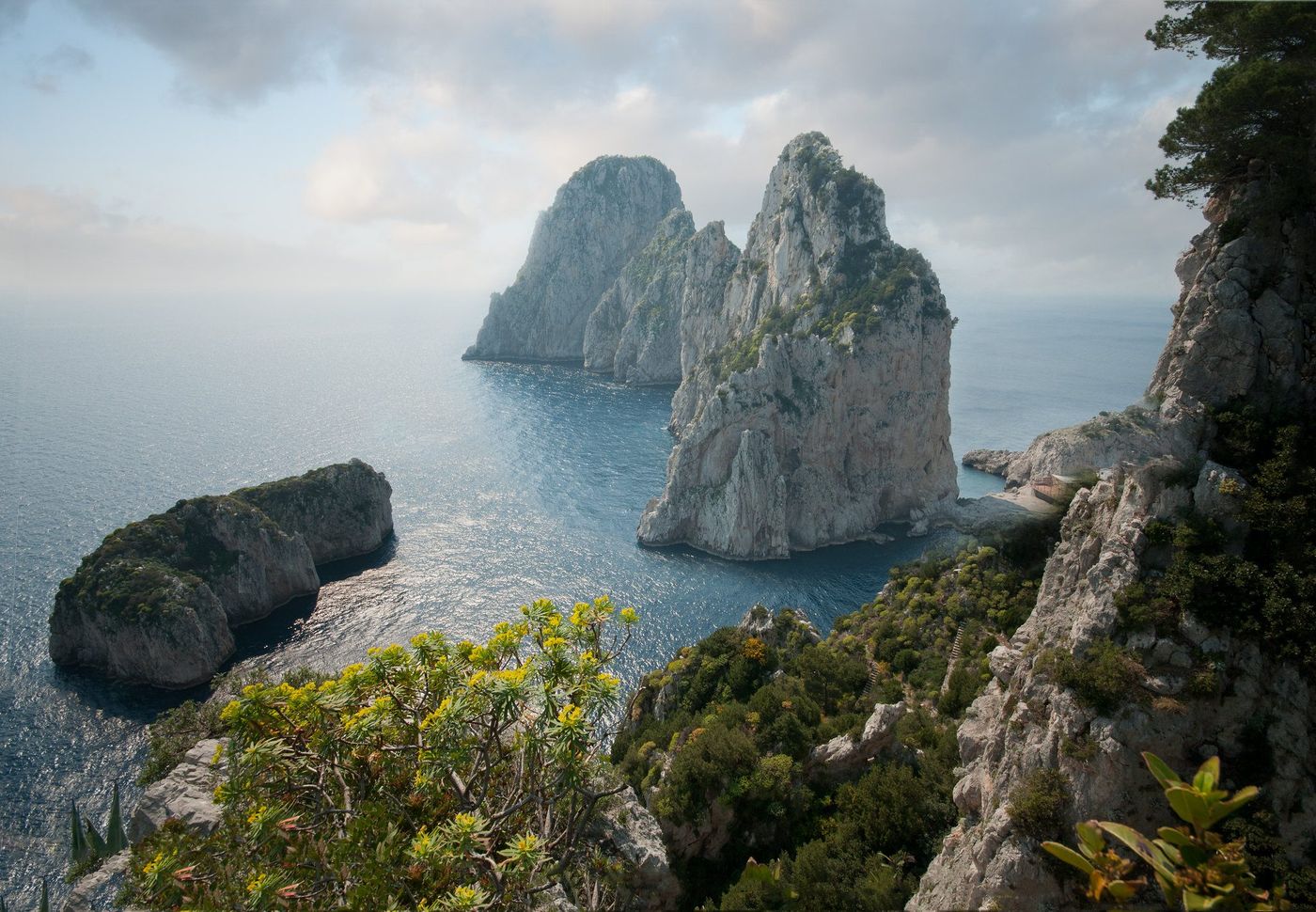 The Faraglioni sea stacks off Capri, seen from the cliffs through pine trees